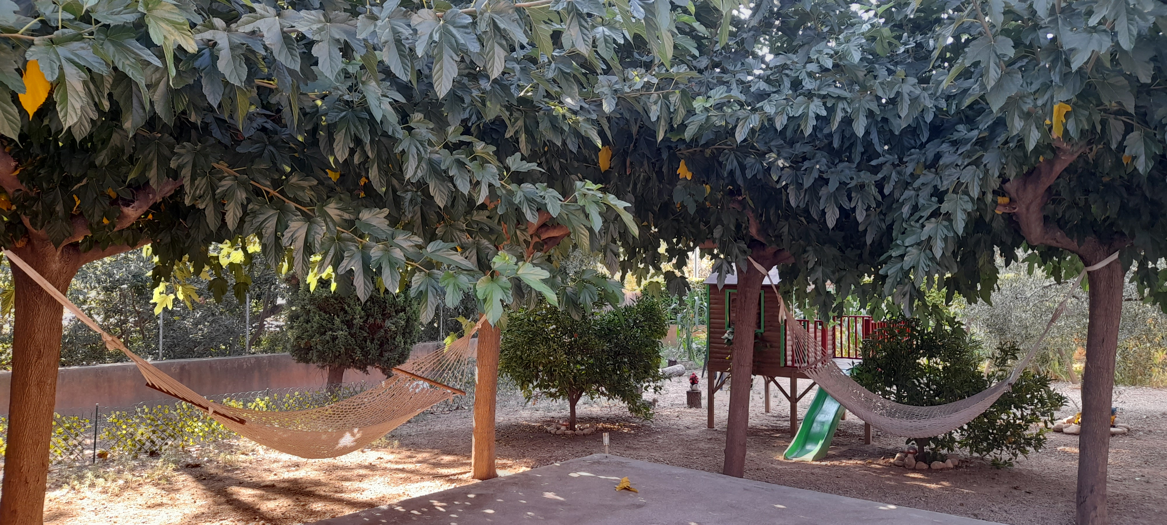Vista aérea del jardín