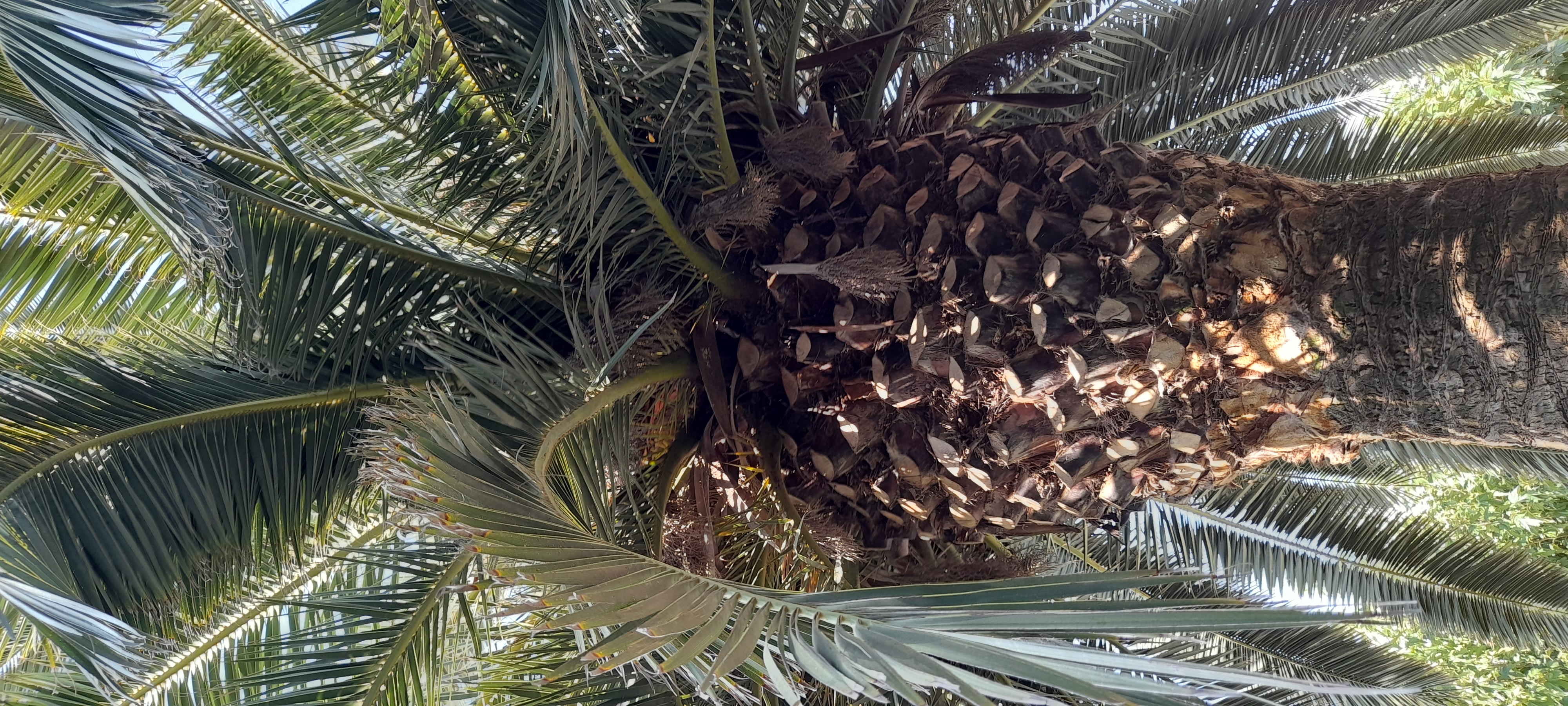 Detalle de la parrilla